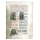 Paideia Arhieraticon trilingual. Ms.rom. 1216 from B.A.R. Cluj Theology 346,78 lei