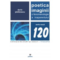 Poetica imaginii (e-book) - Dorin Ştefănescu