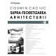 Paideia Over theorization of the architecture E-book 15,00 lei