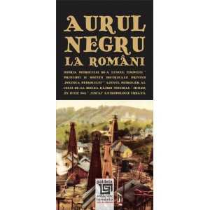 Black gold in Romania (e-book) - Radu Lungu