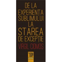De la experiența sublimului la starea de excepție (e-book) - Virgil Ciomos