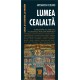 Paideia Lumea cealaltă (e-book) - Antoaneta Olteanu Studii si eseuri e-book 17,00 lei