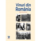 Paideia Vinuri din România – Radu Anton Roman Libra Magna 159,00 lei