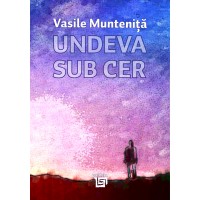 Undeva sub cer - Vasile Munteniță