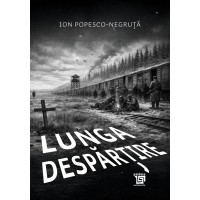 Lunga despărțire - Ion Popesco-Negruță