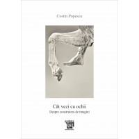Cât vezi cu ochii. Despre construirea de imagini - Costin Popescu