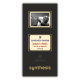 Paideia Pachet Digital-Jazzul clasic Istorie și legendă - Constantin Mendea Paideia sinteză 100,00 lei