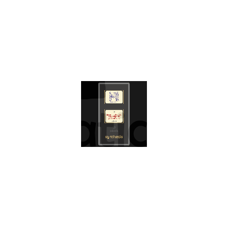 Paideia Carte + Pachet Digital-Despre Pythagora şi pythagorei: Philolaos Paideia sinteză 75,00 lei