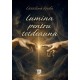Lumina pentru totdeauna - Cătălina Rada