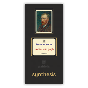 Paideia Carte+Pachet Digital-Vincent van Gogh - Pierre Leprohon Paideia sinteză 75,00 lei