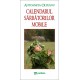 Paideia The calendar of changing holidays Cultural studies 44,00 lei