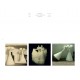 Paideia Mavrodin - album Arts & Architecture 115,59 lei